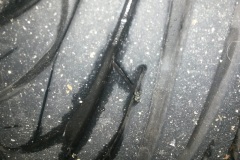 20180913_182510_webready