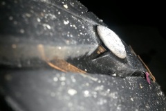 20180913_182754_webready